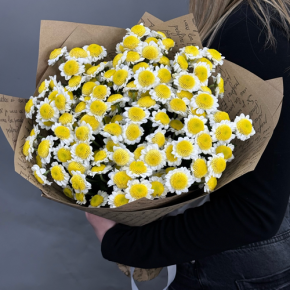 Букет "Моё солнышко" из 11 хризантем сантини  в Электростали
