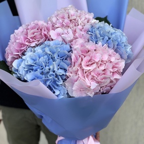 Букет из 5 голландских гортензий микс в Электростали