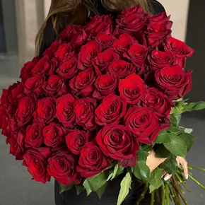 Букет 51 роза Эквадор Эксплорер (70 см) в Электростали