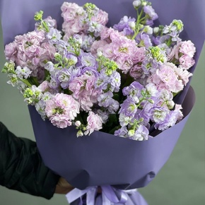 Букет из 15 ароматных маттиол микс в Электростали