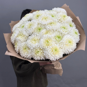 Букет из 27 хризантем Магнум в Электростали