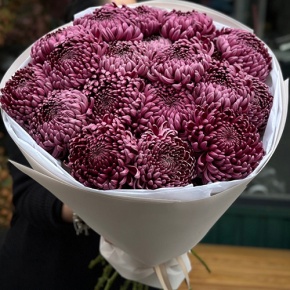 Букет 21 винной хризантемы Бигоуди в Электростали