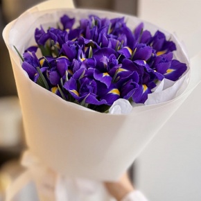 Букет из 21 ириса в Электростали