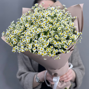 Букет из 17 полевых ромашек в Электростали