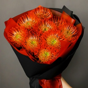 Букет из 9 лейко в Электростали