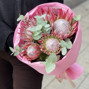 Букет из 5 протей и эвкалипта в Электростали