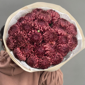 Букет 21 шоколадной хризантемы Бигоуди в Электростали