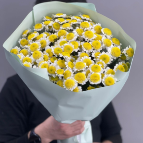 Букет "Моё солнышко" из 17 хризантем сантини в Электростали