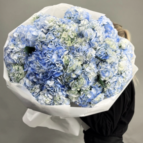 Букет из 23 синих гортензий в Электростали