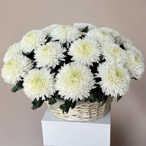 Композиция в корзине из 25 хризантем Магнум в Электростали