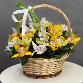 Композиция в корзине из 25 орхидей микс в Электростали