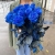 15 синих LUX роз Эквадор (70 см) в Электростали 15 синих LUX роз Эквадор (70 см) в Электростали