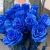 15 синих LUX роз Эквадор (70 см) в Электростали 15 синих LUX роз Эквадор (70 см) в Электростали