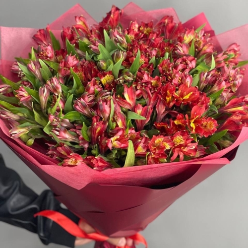Монобукет из 25 красных альстромерий в Электростали