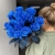 15 синих LUX роз Эквадор (70 см) в Электростали 15 синих LUX роз Эквадор (70 см) в Электростали