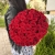 Букет 51 красной розы 50 см в Электростали Букет 51 красной розы 50 см в Электростали