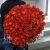 Букет 101 коралловая роза (60 см) в Электростали Букет 101 коралловая роза (60 см) в Электростали