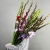 Букет из 25 гладиолусов микс в Электростали Букет из 25 гладиолусов микс в Электростали