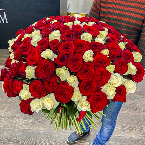 Букет 151 роза красный и белый микс (60 см) в Электростали