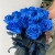 15 синих LUX роз Эквадор (70 см) в Электростали 15 синих LUX роз Эквадор (70 см) в Электростали