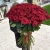 Букет из 101 красной розы (90 см) в Электростали Букет из 101 красной розы (90 см) в Электростали