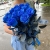 15 синих LUX роз Эквадор (70 см) в Электростали 15 синих LUX роз Эквадор (70 см) в Электростали