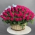 Композиция в корзине из 151 малиновой розы в Электростали Композиция в корзине из 151 малиновой розы в Электростали