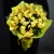 Букет из 13 лимонных орхидей в Электростали Букет из 13 лимонных орхидей в Электростали