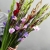 Букет из 25 гладиолусов микс в Электростали Букет из 25 гладиолусов микс в Электростали