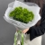 Букет из 7 диантусов люкс Грин Тик в Электростали